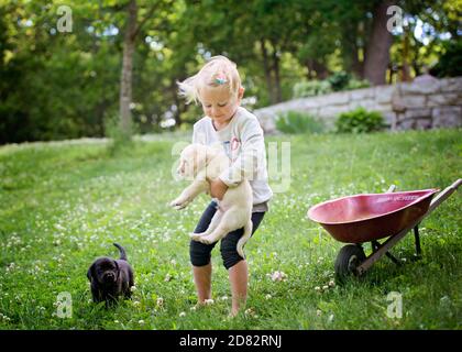 Petite fille jouant avec les chiots de laboratoire à Yard Banque D'Images