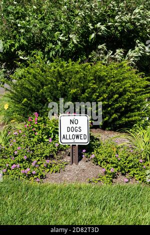 Jardin vert avec noir et blanc panneau aucun chien autorisé Banque D'Images