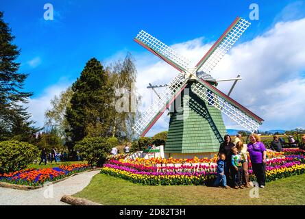 La famille prend des photos devant le moulin à vent à l'intérieur du jardin Roozengaarde, Washington-USA Banque D'Images