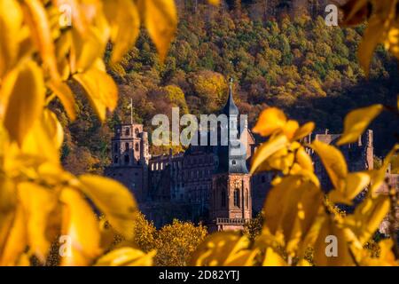 Château de Heidelberg en automne Banque D'Images