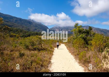 Brésilien cerrado savane paysage et végétation, femme solitaire marchant un sentier à Santuario do Caraca, Minas Gerais, Brésil. Banque D'Images