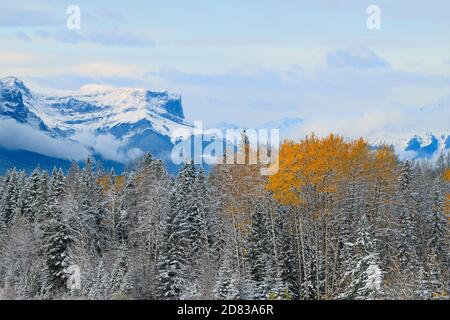 Image du paysage de la première chute de neige de la saison sur les montagnes rocheuses et les arbres du parc national Jasper, en Alberta, au Canada. Banque D'Images