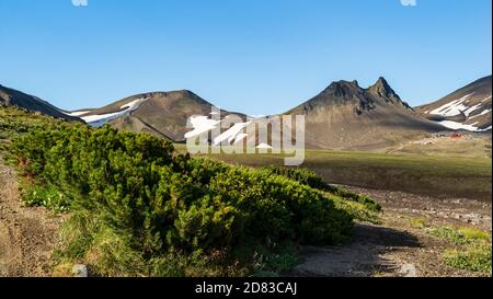 Kamchatka. Extrusion de chameaux au pied des volcans Avaschinsky et Koryak, sur le col Avaschinsky Banque D'Images