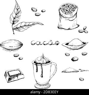 Feuilles, fruits, haricots, cacao en poudre, un verre avec une boisson, un morceau de chocolat. Ensemble d'images en noir et blanc, avec un style de dessin à la main Illustration de Vecteur