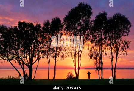 Silhouette de l'homme regardant Sunrise Lake Mulwala Banque D'Images