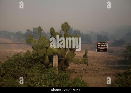 Irvine, États-Unis. 26 octobre 2020. La fumée d'un incendie à proximité se déforme dans une propriété privée au large de Portola Parkway à Irvine.à environ 6 h 47 le lundi 26 octobre, le Silverado Fire a commencé comme un feu de broussailles à Silverado Canyon, en Californie, et à l'aube de Santa Ana, le feu a frappé la ville d'Irvine dans le comté d'Orange, en Californie. L'incendie se poursuit alors que les pompiers s'efforcent actuellement de contenir l'incendie. Crédit : SOPA Images Limited/Alamy Live News Banque D'Images