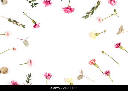 Sur fond blanc, des fleurs de différentes espèces sont disposées en cercle, des branches avec de belles feuilles, des fleurs en fleurs et des bourgeons de fleurs Banque D'Images