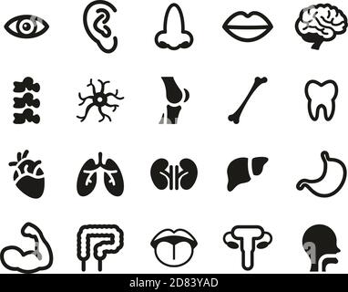 Icônes Anatomie humaine ou parties du corps humain Noir et blanc Définir grand Illustration de Vecteur