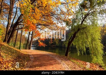 Ruelle d'automne dans un parc avec des feuilles colorées Banque D'Images