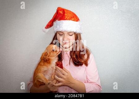 Une adolescente se tient à la maison portant un chapeau de Santa, tenant un chien rouge chihuahua et lui offrant un cadeau. Le doggie liche la fille en gratitude Banque D'Images