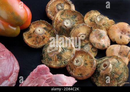 champignons forestiers de saison typiques des pins en méditerranée Banque D'Images