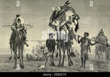 Gravure en bois d'UNE Caravane de chameaux dans le désert du livre 'la Palestine pittoresque, le Sinaï et l'Egypte : la vie sociale en Egypte; une description du pays et de son peuple' avec des illustrations sur l'acier et le bois de Wilson, Charles William, Sir, 1836-1905; Lane-Poole, Stanley, 1854-1931. Publié par J.S. Virtue à Londres en 1884 Banque D'Images