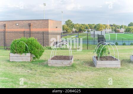 Jardin de lit surélevé en bois avec support de cadre froid de tuyau en PVC et terrain de football en arrière-plan au Texas, États-Unis Banque D'Images