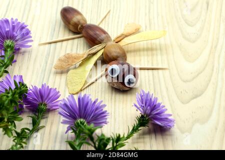 Libellule de tinker d'automne en acorns. Aster fleurs. Couche plate Banque D'Images