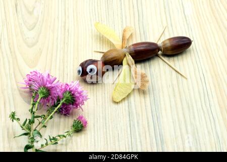 Libellule de tinker d'automne en acorns. Aster fleurs. Couche plate Banque D'Images