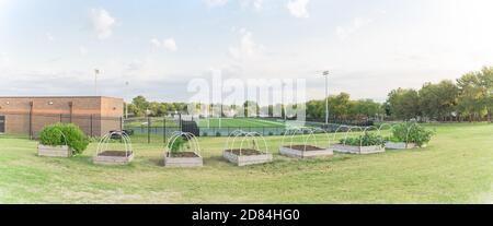 Rangée panoramique de lits surélevés jardin et terrain de football dedans Expérience à l'école primaire aux États-Unis Banque D'Images