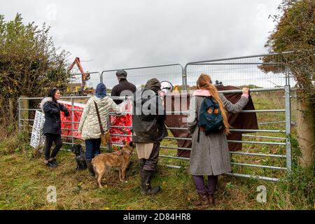 Aylesbury Vale, Buckinghamshire, Royaume-Uni. 26 octobre 2020. Les manifestants regardent HS2 poursuivre les travaux de construction à Grim's Ditch dans le Buckinghamshire. Les militants écologistes anti HS2 affirment que HS2 n'a pas de permis de chauve-souris pour l'abattage dans ces anciennes terres boisées et qu'il est donc possible de commettre un crime contre la faune. Ils ont de nouveau signalé l'affaire à la police ce matin et attendent une réponse. La construction du train à grande vitesse de Londres à Birmingham met en péril 108 anciennes terres boisées, 33 SSIS et 693 sites fauniques. Crédit : Maureen McLean/Alay Banque D'Images