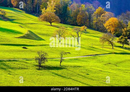 Magnifique paysage d'automne coloré dans les montagnes du Jura, canton du Jura, Suisse. Banque D'Images