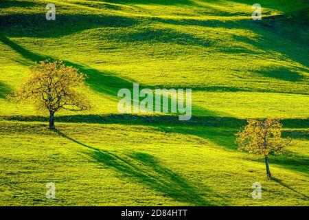 Magnifique paysage d'automne coloré dans les montagnes du Jura, canton du Jura, Suisse. Banque D'Images