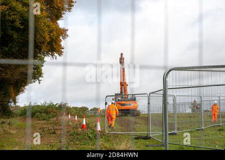 Aylesbury Vale, Buckinghamshire, Royaume-Uni. 26 octobre 2020. Un accrocheur d'arbres à l'œuvre alors que HS2 continue de détruire les bois anciens de Grim's Ditch dans Buckinghamshire. Les militants écologistes anti HS2 affirment que HS2 n'a pas de permis de chauve-souris pour l'abattage dans ces anciennes terres boisées et qu'il est donc possible de commettre un crime contre la faune. Ils ont de nouveau signalé l'affaire à la police ce matin et attendent une réponse. La construction du train à grande vitesse de Londres à Birmingham met en péril 108 anciennes terres boisées, 33 SSIS et 693 sites fauniques. Crédit : Maureen McLean/Alay Banque D'Images