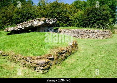 Tinkinswood chambre funéraire, St Nicholas, Vale of Glamorgan, Pays de Galles, Royaume-Uni. Banque D'Images