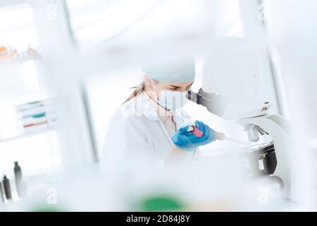 une scientifique féminine effectue des recherches en laboratoire. Banque D'Images