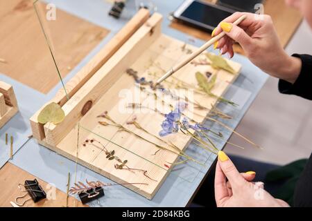 Une femme présente une composition. Master class sur la création de cadre avec Herbarium en technique tiffany en vitrail. Herbarium de sec différent Banque D'Images