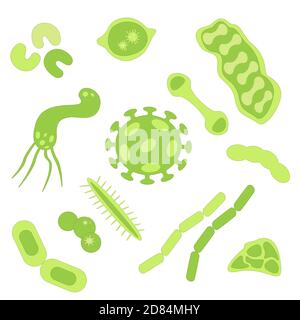 Ensemble vectoriel de micro-organismes. Différentes bactéries et germes dans un style plat. Illustration de Vecteur