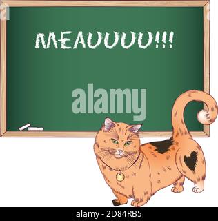 Chat De Race De Munchkin Ou De Saucisse Image Vectorielle Stock Alamy