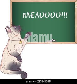 Le chat siamois ou thaïlandais se tient debout sur deux pattes arrière. Illustration vectorielle avec un chat près du tableau de craie. Style dessiné à la main isolé sur fond blanc. Placer pour le texte. Illustration de Vecteur