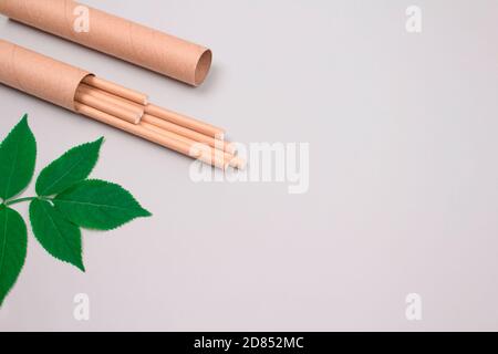 Image de maquette de pailles de papier brun emballées dans un tube de papier kraft ou un contenant avec des feuilles vertes autour, sur fond gris clair avec espace de copie Banque D'Images