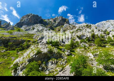 Canyon en Duje, Picos de Europa, Asturies, Espagne, Europe Banque D'Images