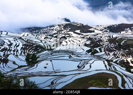 Yuan Yang Rice Terrace en Chine, la plus grande terrasse au monde, site classé au patrimoine mondial, se trouve dans la province du Yunnan Banque D'Images