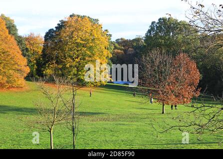 Magnifiques couleurs d'automne sur Hampstead Heath dans le nord de Londres, Royaume-Uni Banque D'Images