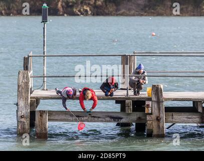 Currabitinny, Cork, Irlande. 27 octobre 2020. Jane O'Leary, de Carrigaline, aide ses trois enfants, Maymie, Billy et Paddy à pêcher le crabe un après-midi frais sur la jetée de Currabutinny, Co. Cork, Irlande. - crédit; David Creedon / Alamy Live News Banque D'Images