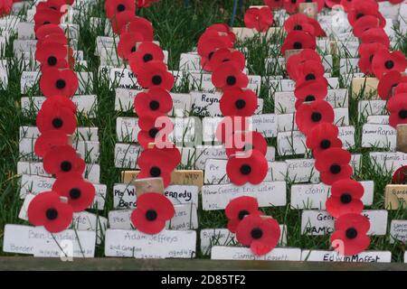 Moffat, Dumfrieshire, Écosse, Royaume-Uni. Exposition du mémorial de la première Guerre mondiale à l'extérieur d'une boutique du village, 100yrs depuis la fin de WW1. Rangées de coquelicots sur des croix en bois Banque D'Images