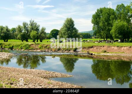 Rivière Usk depuis la promenade de la vallée d'Usk, le Bryn près d'Abergavenny, Monbucshire, pays de Galles. Banque D'Images