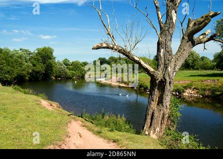 Rivière Usk depuis la promenade de la vallée d'Usk, le Bryn près d'Abergavenny, Monbucshire, pays de Galles du Sud. Banque D'Images