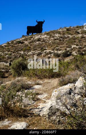 The Osborne Bull palissade à Almayate, Torre del Mar, Malaga, Andalousie, Costa del sol, Espagne Banque D'Images