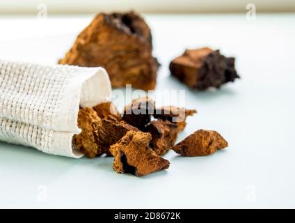 Vue latérale du chaga mushroom naturel sauvage, l'Inonotus obliquus poudre et morceaux pour faire du thé et café sur fond bleu clair. Usine de plantes en bonne santé Banque D'Images