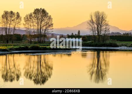 La rivière Alouette, Pitt Meadows, Colombie-Britannique, Canada Banque D'Images