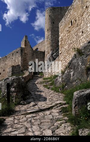 Un chemin pavé mène à la porte du château Spiš (Spišský hrad) du XIIIe siècle, fondé par les rois hongrois sur un éperon de calcaire au-dessus de la campagne environnante, aujourd'hui dans la région de Košice en Slovaquie. Elle a réussi à repousser le siège de Tartar en 1241 et à devenir le plus grand complexe de forteresse d'Europe centrale. Spiš a été abandonné après un incendie catastrophique en 1780, mais un programme de restauration approfondi, lancé en 1969, a permis au château et à ses environs d'atteindre le statut de site du patrimoine mondial de l'UNESCO en 1993. Banque D'Images