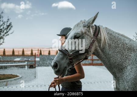 Photo rognée d'un jeune cheval de race brune avec un cheval de race arabe. Hors équipement de conduite Banque D'Images