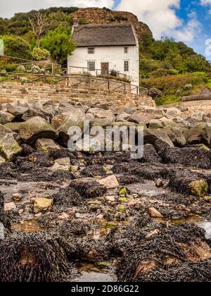 Maison de campagne, Runswick Bay, côte nord du Yorkshire, Royaume-Uni. Banque D'Images