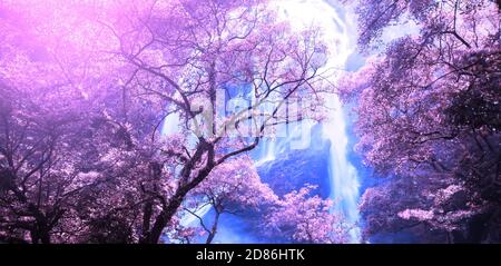 Forêt d'automne lumineuse et chute d'eau au lever du soleil, couleurs pourpres et violettes créatives selon la saison. Exposition longue. Attention douce à la forêt pourpre. Banque D'Images