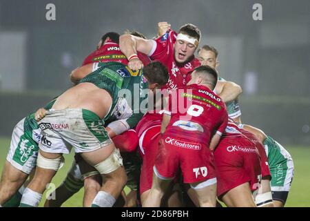 Trévise, Italie. 23 octobre 2020. Trévise, Italie, Stadio Monigo di Trévise, 23 oct 2020, Morgan Jones (Scarlets) pendant Benetton Trévise vs Scarlets Rugby - Rugby Guinness Pro 14 Match - Credit: LM/Alfio Guarise crédit: Alfio Guarise/LPS/ZUMA Wire/Alay Live News Banque D'Images