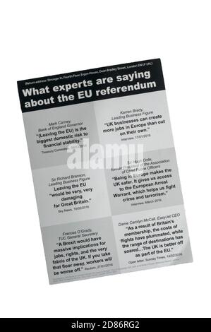 Une brochure anti-Brexit au nom de la Grande-Bretagne plus forte en Europe. Banque D'Images