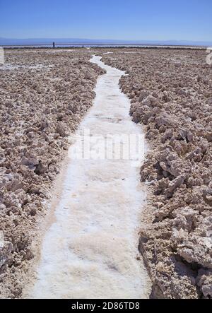 Sentier entre Salar de Atacama, la plate de sel chilienne dans le nord du Chili avec Silhouette des visiteurs à Afar Banque D'Images