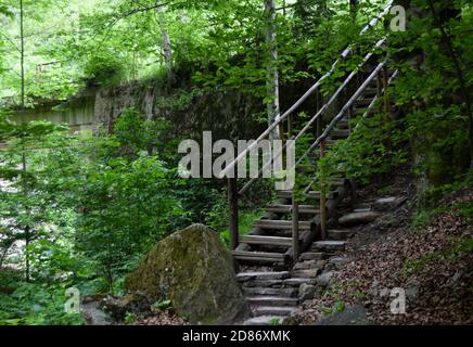 Chemin de pied avec ancienne échelle en bois sur un chemin dans un forêt de montagne avec roche de grès majestueuse Banque D'Images