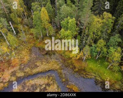 Image aérienne d'une forêt d'automne au bord d'un marais avec un ruisseau près de Hamra NP, Suède Banque D'Images